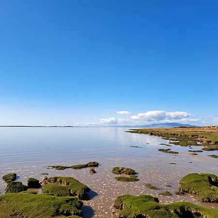 Rose Solway Self Catering